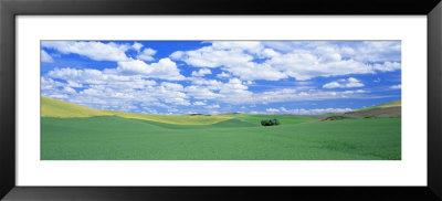 Fields, Whitman County, Washington State, Usa by Panoramic Images Pricing Limited Edition Print image