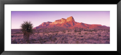 Morning, Mountain, National Park, Guadalupe Mountains, Texas, United States by Panoramic Images Pricing Limited Edition Print image