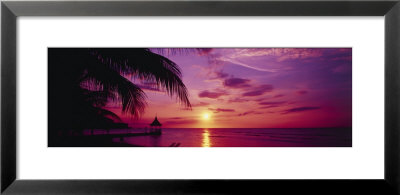 Sunset, Palm Trees, Beach, Water, Ocean, Montego Bay Jamaica by Panoramic Images Pricing Limited Edition Print image