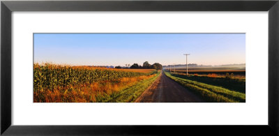 Road Along Rural Cornfield, Illinois, Usa by Panoramic Images Pricing Limited Edition Print image