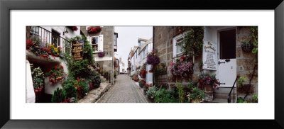 Saint Ives Street Scene, Cornwall, England, United Kingdom by Panoramic Images Pricing Limited Edition Print image