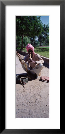Snake Charmer Performing, India by Panoramic Images Pricing Limited Edition Print image
