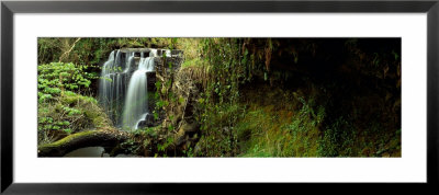 Waterfall In The Forest Rocks, North Yorkshire, England, United Kingdom by Panoramic Images Pricing Limited Edition Print image