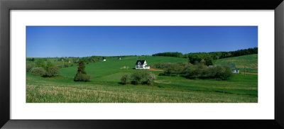 Summer Fields And Houses, Prince Edward Island, Canada by Panoramic Images Pricing Limited Edition Print image