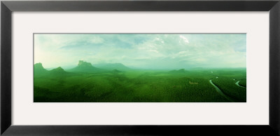 Aerial View Of Green Misty Landscape, Autana Tepuy, Venezuela by Panoramic Images Pricing Limited Edition Print image