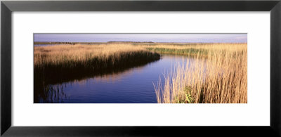 Ringkobing Fjord, Jutland, Denmark by Panoramic Images Pricing Limited Edition Print image