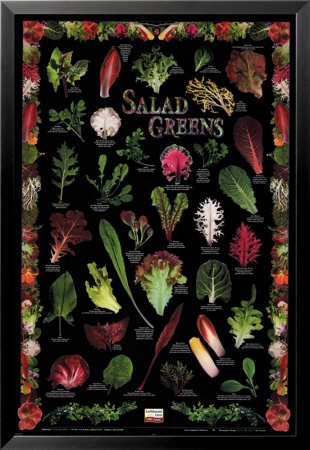 California Salad-Black by Larry Kunkel Pricing Limited Edition Print image