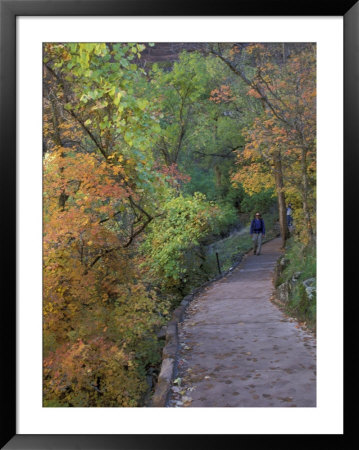 Weeping Wall Trail With Visitor, Zion National Park, Utah, Usa by Jamie & Judy Wild Pricing Limited Edition Print image