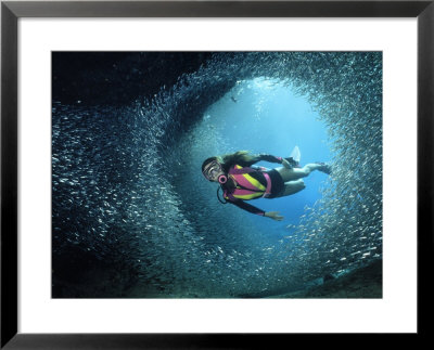 Scuba Diving, Silversides Cave, Caribbean Sea, Mexico by David Mechlin Pricing Limited Edition Print image
