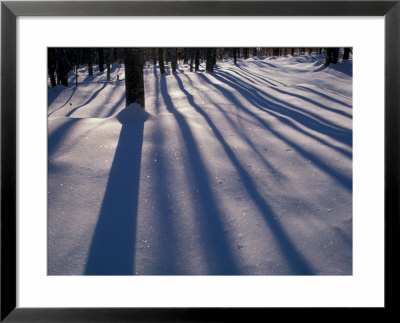 Winter Snow, North New Portland, Maine, Usa by Jerry & Marcy Monkman Pricing Limited Edition Print image