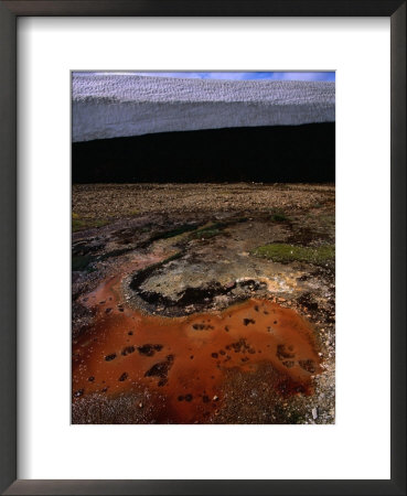 Algae Growth In Pool Near Storihiver Hot Springs, Fjallabak Nature Reserve, Sudurland, Iceland by Grant Dixon Pricing Limited Edition Print image