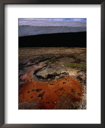 Algae Growth In Pool Near Storihiver Hot Springs, Fjallabak Nature Reserve, Sudurland, Iceland by Grant Dixon Pricing Limited Edition Print image