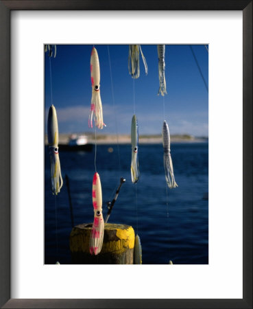 Fishing Lures Hanging With Ocean Behind, Cape Cod, Massachusetts, Usa by Stephen Saks Pricing Limited Edition Print image