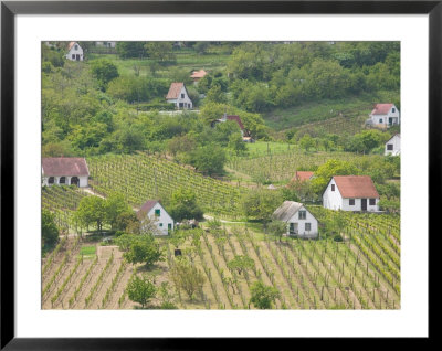 Vineyard View From Calvary Hill, Southern Transdanubia, Hungary by Walter Bibikow Pricing Limited Edition Print image