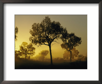 An Outback Suset by Jason Edwards Pricing Limited Edition Print image