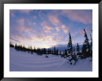 Sunset Along The Snow-Covered Shores Of Hudson Bay by Paul Nicklen Pricing Limited Edition Print image