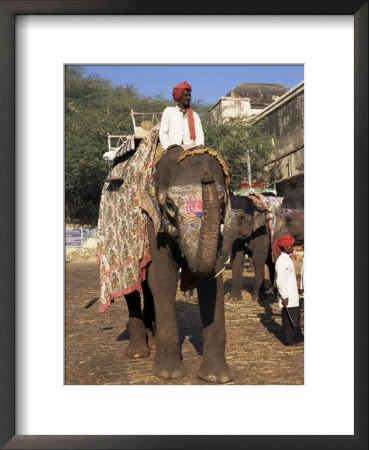 Elephant Transport For Tourists, Amber Palace, Jaipur, Rajasthan State, India by Robert Harding Pricing Limited Edition Print image