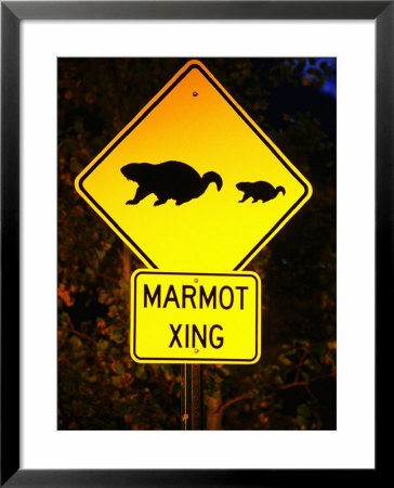 Marmot Crossing Sign Near Maroon Bells, Aspen, Colorado by Holger Leue Pricing Limited Edition Print image
