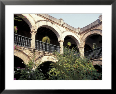Balcony With Flowers And Trees, Puerto Rico by Greg Johnston Pricing Limited Edition Print image