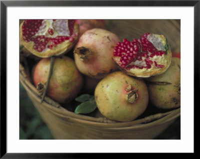 Basket Of Pomegranate, Oaxaca, Mexico by Judith Haden Pricing Limited Edition Print image