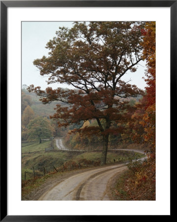 A Twisty Road Meanders Through The Countryside by Jodi Cobb Pricing Limited Edition Print image