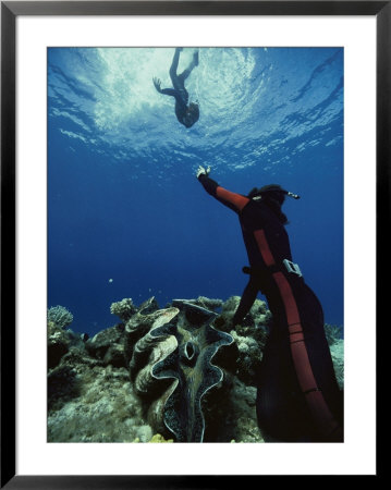 A Diver On The Sea Floor Gestures To Another Diver Who Is Descending by Bill Curtsinger Pricing Limited Edition Print image