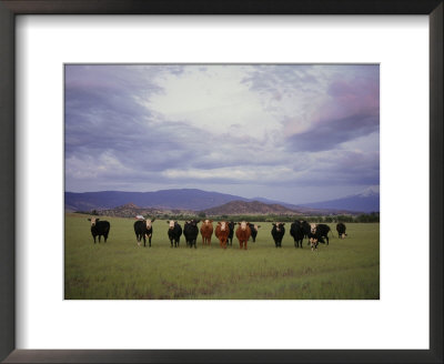 Farm Scene West Of Chiloguin, Oregon, Looking Toward Mount Mcloughlin by Phil Schermeister Pricing Limited Edition Print image