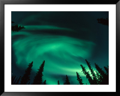 Aurora Borealis Swirling In The Night Sky, Alaska by Michael S. Quinton Pricing Limited Edition Print image