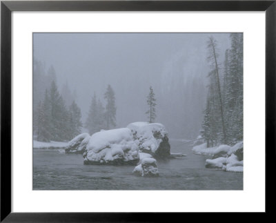 Snow Storm, Firehole River by Raymond Gehman Pricing Limited Edition Print image