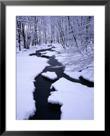 Snow Almost Covering Skaran Creek, Sodersen National Park, Skane, Sweden by Anders Blomqvist Pricing Limited Edition Print image
