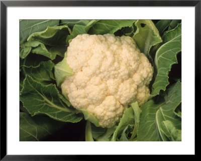 Casa Blanca Cauliflower by Inga Spence Pricing Limited Edition Print image
