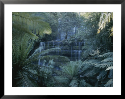 Lush Ferns Frame A Waterfall In The Park by Sam Abell Pricing Limited Edition Print image