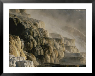 Terraces Of Travertine, Canary Spring, Mammoth Hot Springs by Norbert Rosing Pricing Limited Edition Print image