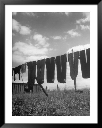 Laundry Hanging Out To Dry by Nina Leen Pricing Limited Edition Print image