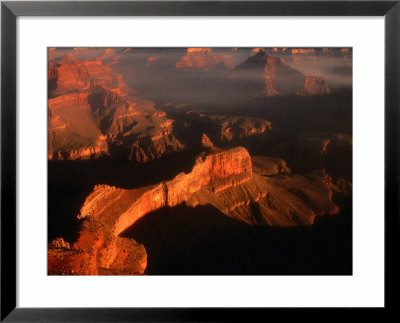 Sunlight Colours The Canyon Rims, Grand Canyon National Park, Usa by Mark Newman Pricing Limited Edition Print image