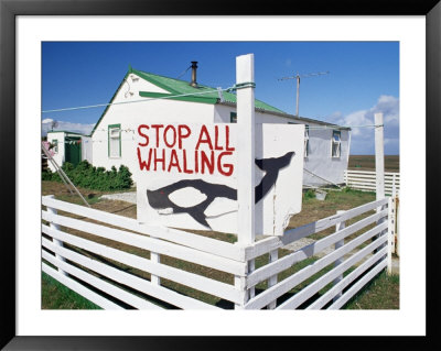 An Anti-Whaling Sign In Front Of Falkland Traditional Wooden House, Falkland Islands by Marco Simoni Pricing Limited Edition Print image