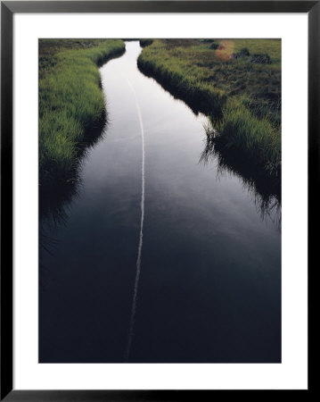 Marsh Creek by James L. Stanfield Pricing Limited Edition Print image
