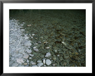 Dry And Wet Rocks At Shoreline by Todd Gipstein Pricing Limited Edition Print image