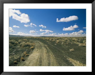 Dirt Road Across Volcanic Desert, Arizona by David Edwards Pricing Limited Edition Print image