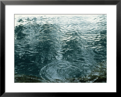 Rain Drops On Water, Bacalar Qr, Mex by Dratch & Beringer Pricing Limited Edition Print image