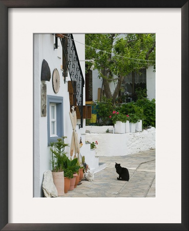 Street View With Black Cat, Manolates, Samos, Aegean Islands, Greece by Walter Bibikow Pricing Limited Edition Print image