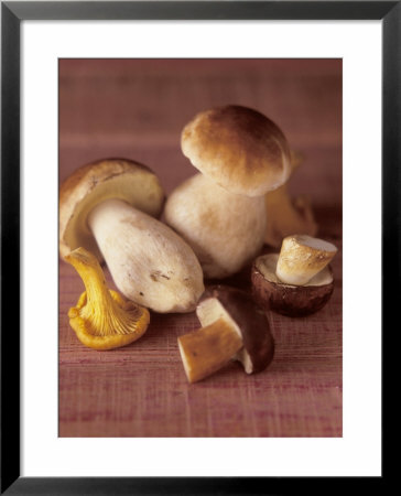 Several Ceps And One Chanterelle by Uwe Bender Pricing Limited Edition Print image