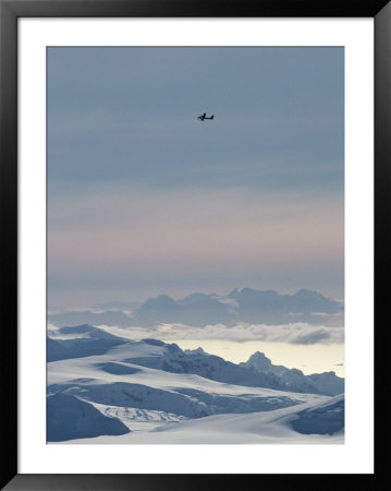 A Twin Otter Flies Over Calley Glacier On The Antarctic Peninsula by Gordon Wiltsie Pricing Limited Edition Print image