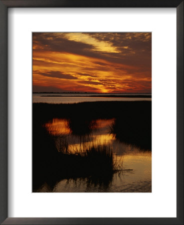 Sunset Over A Salt Marsh With Cordgrass by Raymond Gehman Pricing Limited Edition Print image