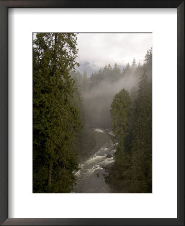 Fog Rolls In To A Rainforest In British Columbia by Taylor S. Kennedy Pricing Limited Edition Print image