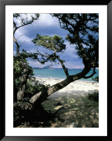 Southeast Coast, Island Of Sardinia, Italy, Mediterranean by Oliviero Olivieri Pricing Limited Edition Print image