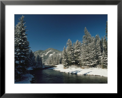 Madison River, Gallatin National Forest, Montana by Raymond Gehman Pricing Limited Edition Print image