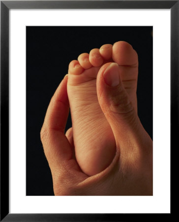 A Babys Toes by Phil Schermeister Pricing Limited Edition Print image