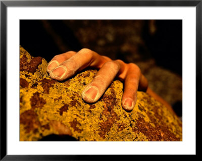 Close Up Of A Rock Climbers Hand by Bill Hatcher Pricing Limited Edition Print image