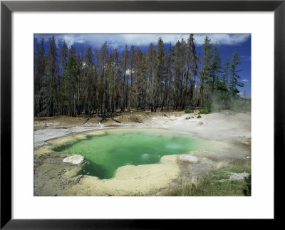 Emerald Spring, The Green Colour Caused By Blue Water And Yellow Sulphur by Robert Francis Pricing Limited Edition Print image